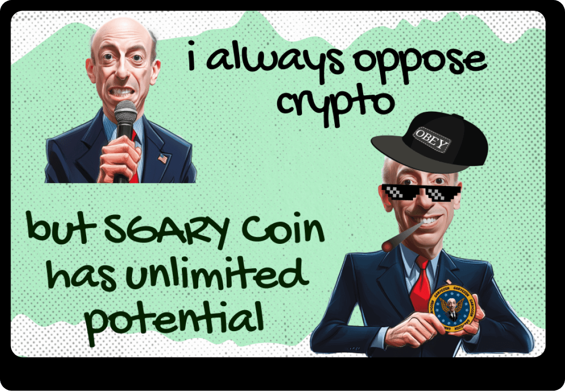 An image uploaded to Strapi called meme_1
